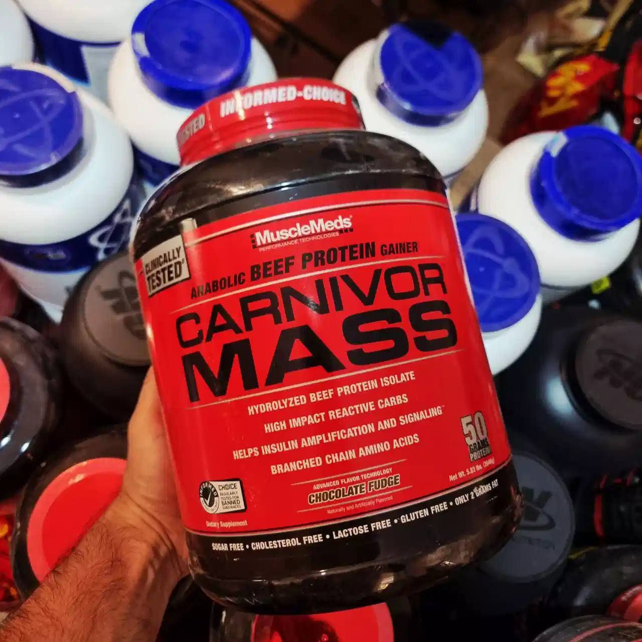 مس کارنیور ماسل مدز 2.6 کیلو