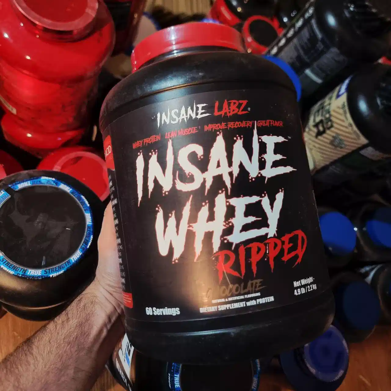 پروتئین وی رپید اینسین لبز 2.2 کیلو